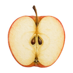 PNG Realistic apple watercolor illustration.