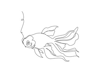 Obraz premium Golden fish single outline illustration. Continuous line art drawing of fish. Editable stroke.