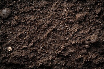 Earthy texture of soil
