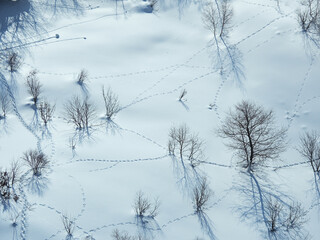 日本の冬の北アルプス山脈の雪景色と動物の足跡の様子