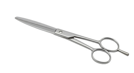 Fototapeta premium Isolated Silver Scissors for Hair Cutting