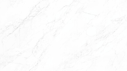 marble texture and background. fine grained white marble background