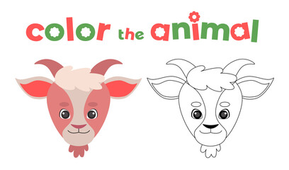 Obraz premium 42 - Animals head coloring