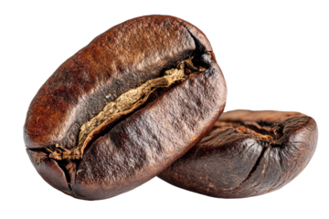 Coffee bean, white isolate background