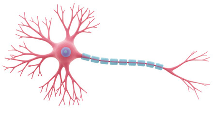 Isolated Neuron Cell