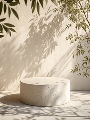 White stone podium with olive leaves and soft neutral wall background