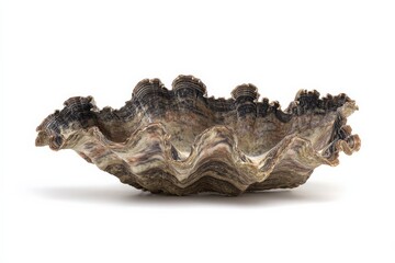 Obraz premium Striking stone bowl with organic, wave-like form. Earthy tones and textures create a natural, elegant piece.