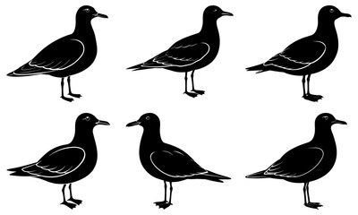 Obraz premium Vector silhouette bundle twelve with various black shapes and transparent background