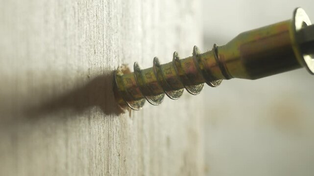 Close-up screwdriver bit screwing yellow zinc countersunk self-tapping screw into plywood surface. Hardware tool driving sharp fastener during repair work. Metal bit working in construction project