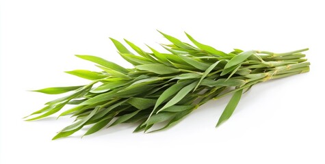 Fototapeta premium Fresh bunch of vibrant green bamboo shoots