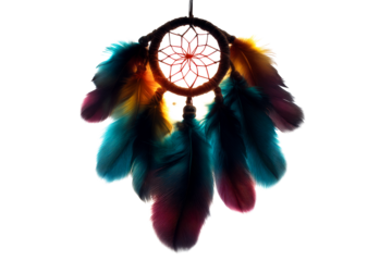 Colorful dreamcatcher with feathers on a transparent background