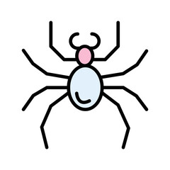 Spider Vector Icon