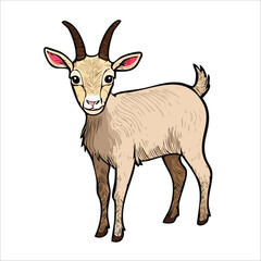 Obraz premium Cute Vector Goat Illustration