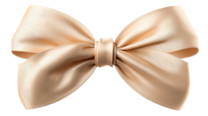 Beige satin bow on a clear background