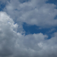 Obraz premium The Sky Before the Storm