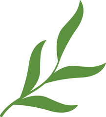 Spring and Summer Flower Decorations For Templet Design Elements and More