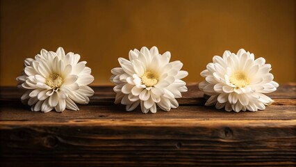 Obraz premium Three White Flowers in a Row on Wooden Table - Minimalist Still Life Photography