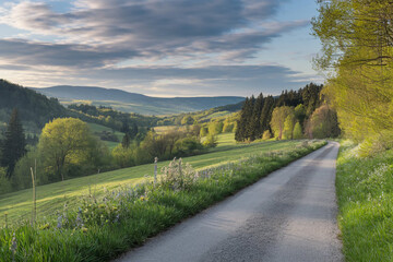 Fototapeta premium road to the mountains