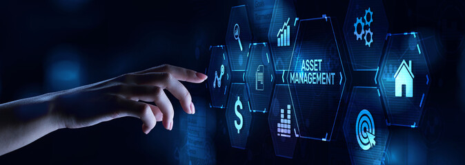 Asset management Financial Property Digital software assets SAM DAM.