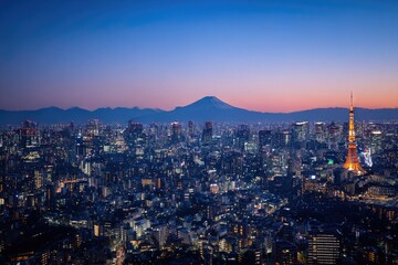 Obraz premium Tokyo Cityscape at Dusk with Tower and Distant Mount Fuji View