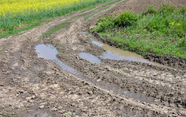 field dirt road with mud and puddles. wheel tracks on the road