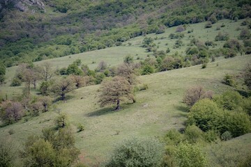 mountain landscape in the morning