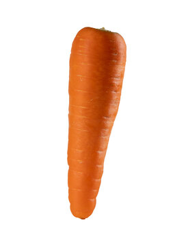 Whole Carrot Isolated on Transparent Background