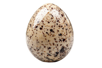 Speckled egg, white isolate background.