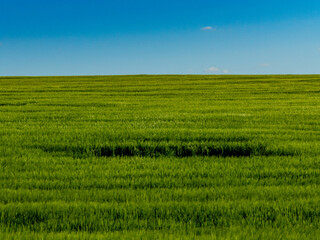 Agrarlandschaft im Frühjahr