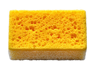 Sponge, white isolate background