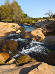 River stream waterfall in forest landscape, beautiful nature water stream with rocks in the forest...