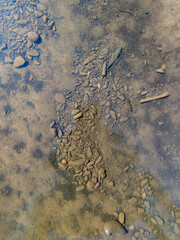 Detail of the calm, clear water of a river revealing the stones deposited at the bottom, in the riverbed.