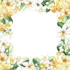 Square frame from orchid flowers with leaves watercolor isolated illustration. Postcard template from exotic tropical blooming plants. Hand drawn floral background of phalaenopsis in realistic style.