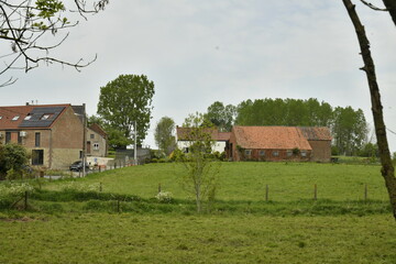 Prairie sous un ciel gris à Ghislenghien (Ath)