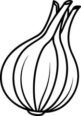 onion outline vector illustration, line art