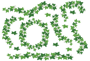Green Ivy Vine Border Vector Clipart Decorative Design