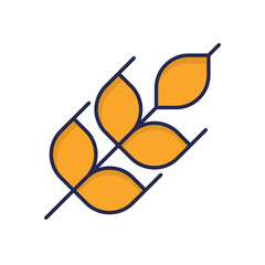 Wheat Vector icon