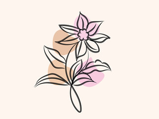 Elegant Minimalist Line Art Flower with Pastel Background for Branding and Design