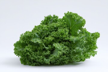 Fototapeta premium Freshly harvested kale, vibrant green leaves.