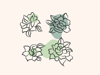 Elegant Line Art Floral Designs Set Four Botanical Illustrations