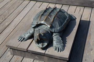 Detailed bronze sculpture of an alligator snapping turtle, resting on a wooden deck. Perfect for...
