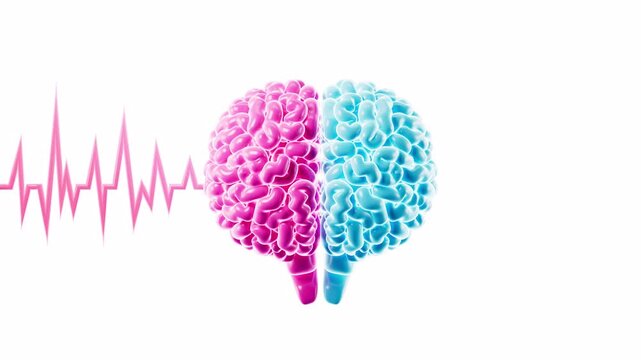 The human brain and brain waves with alpha channel, brain consciousness and thinking, 3d rendering.