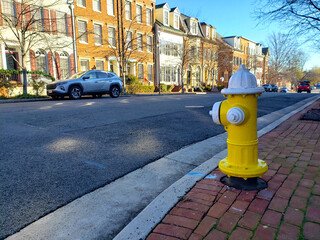 Hydrant by the road. Paved sidewalk along residential houses.