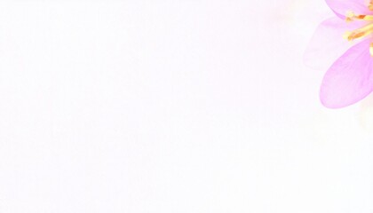 Blooming orchid flowers garden photography tranquil setting close-up nature beauty