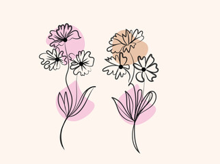 Elegant Minimalist Line Art Flower Drawings with Pastel Backgrounds