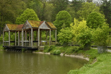 Le pavillon d'observation en pleine végétation luxuriante par temps de pluie au domaine provincial de Chevetogne à Ciney 