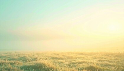 Morning sunrise over serene meadow nature photography calm environment soft light inspirational concept