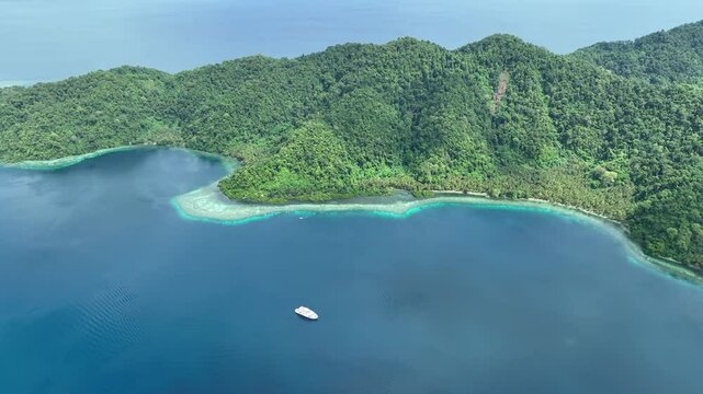 A coral reef grows on the edge of a scenic, palm-covered tropical island, Pulau Damar, near Halmahera, Indonesia. This beautiful area is home to an extraordinary array of marine biodiversity.