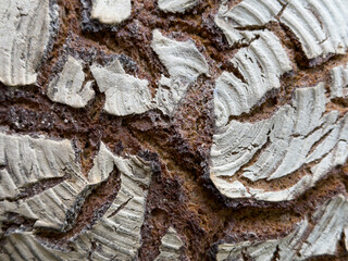 High-resolution image of rustic sourdough bread crust, perfect for baking blogs or food websites.