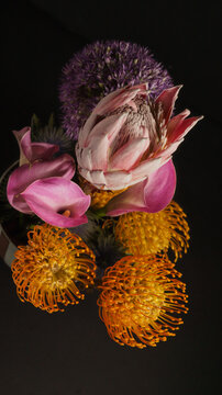 pink and yellow flowers on a dark background